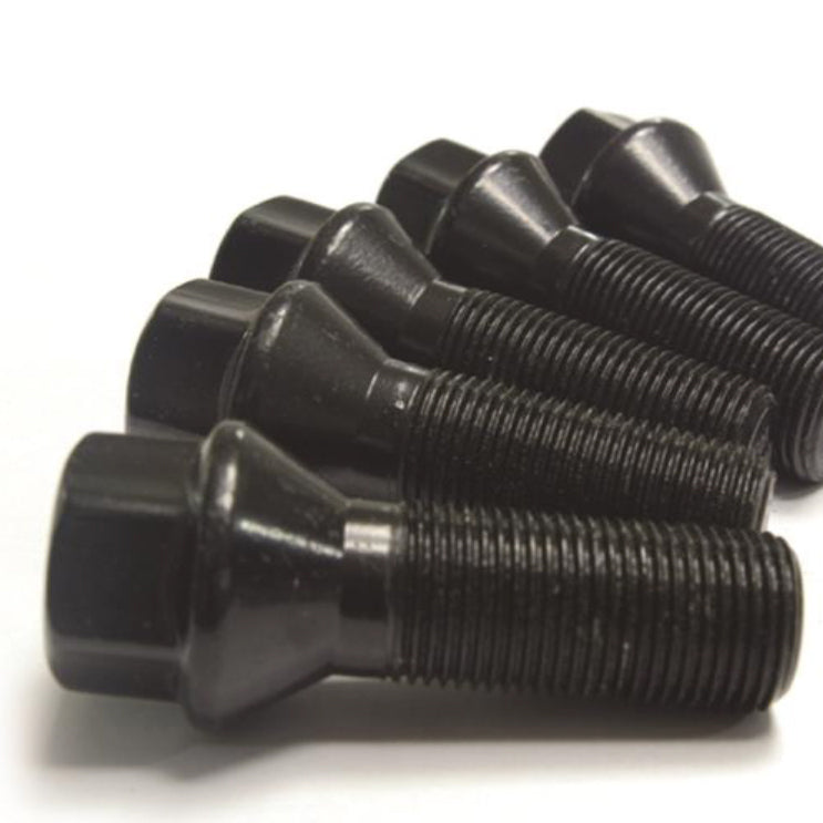 Grade 10.9 BMW bolts
 (standard length/plus
 Length:10,15,20mm)