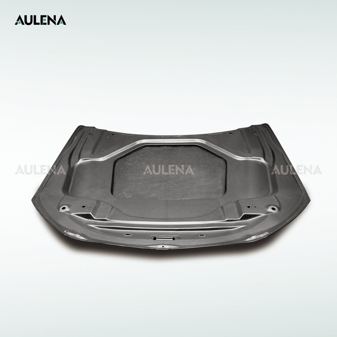 BMW M8(F93) Aulena Design dry carbon performance Hood