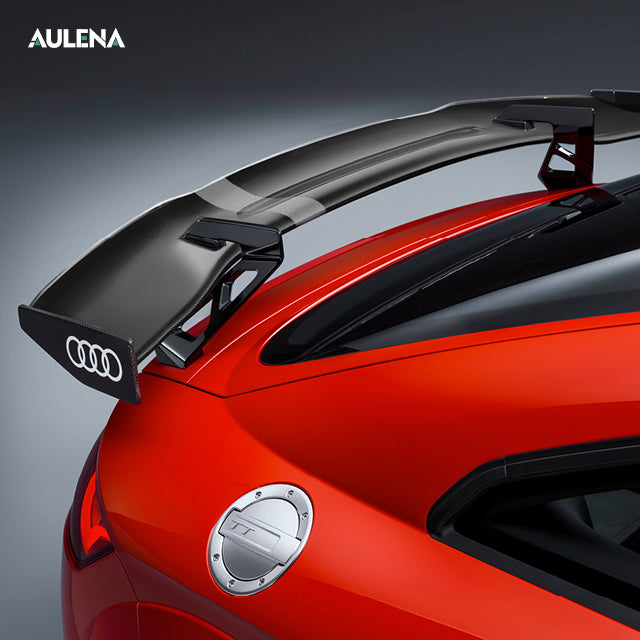 Audi TT/TTS/TTRS Aulena Style dry carbon performance body kit