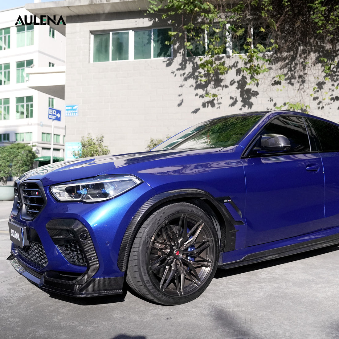 BMW X6M Aulena Design dry carbon Body Kit