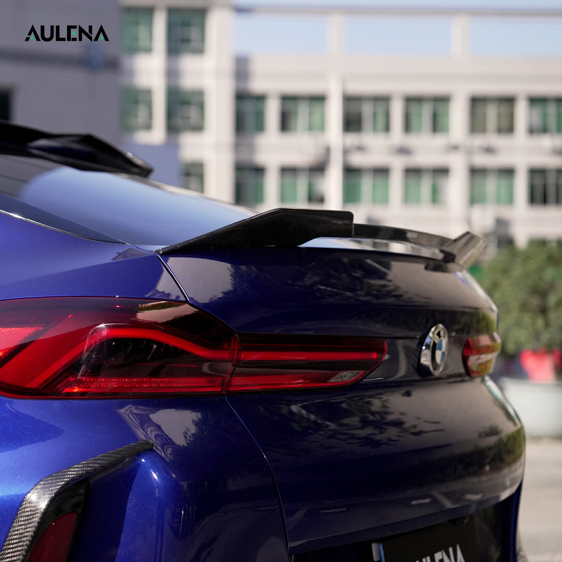 BMW X6M Aulena Design dry carbon performance Rear Wing