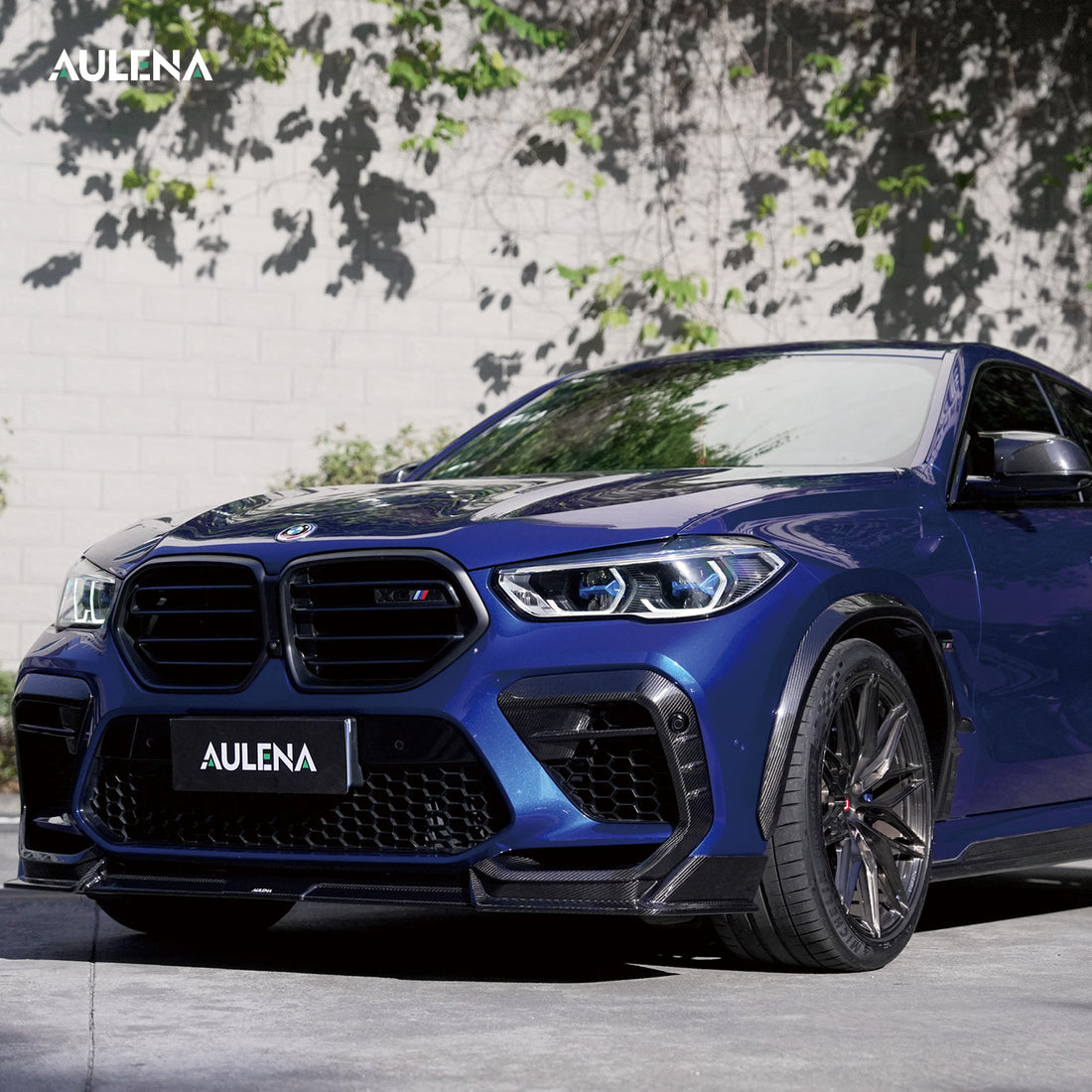 BMW X6M Aulena Design dry carbon performance Front Air Inlet Set